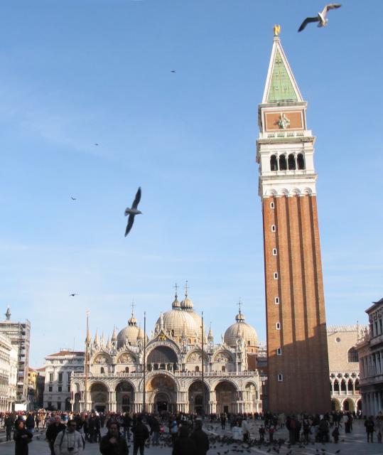 Birds and buildings at Piazza San Marco (St. Mark's Square)