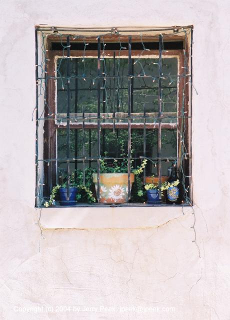 Window with plants and lights