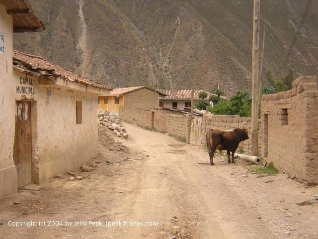 Dirt street with livestock, Ollantaytambo, Peru