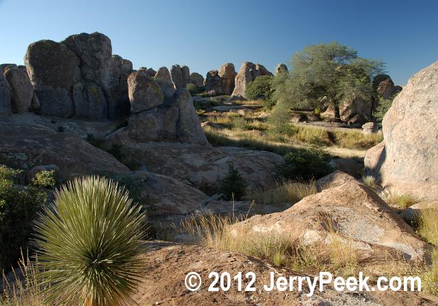 At City of Rocks State Park, New Mexico