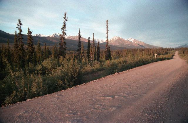 trees and mountains along the Dempster Highway, morning