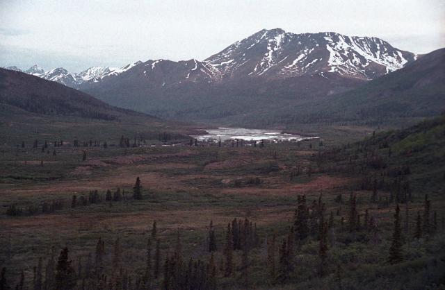mountain, lake, and sparse forest from the Dempster Highway