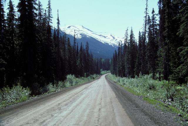 Forest and mountains along Cassiar Highway, British Columbia (BC), Canada