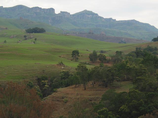 jagged mountains and trees just north of Lotemi turnoff