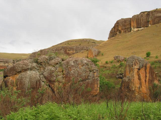 Giant's Castle Game Reserve