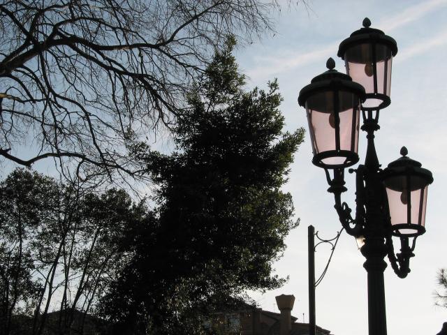Trees and lamp, Venezia