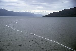 Slideshow image 16