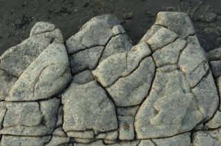 Three ``fingers'' of rock (an area about 1 meter square) along the coast, Playa Escondida, Ecuador