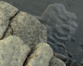 Rock, and pattern in sand that looked like a face to me - Playa Escondida, Ecuador