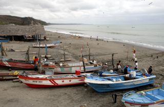 Fishermen bring in their boats after morning fishing - Tonchigüe, Ecuador